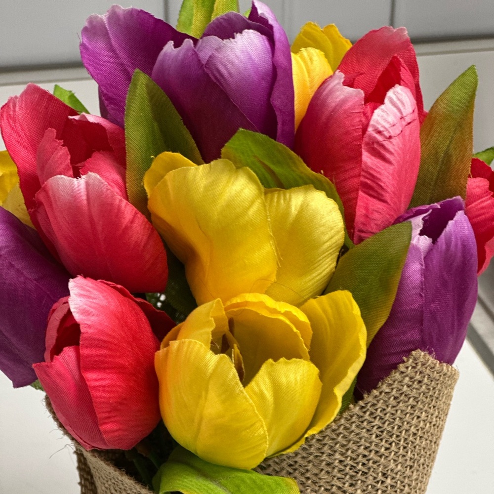 💐Beautiful Tulip Plant - Picture 2 of 5
